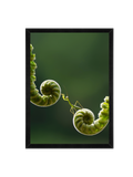 The Mantis Path Wall Art Frame 12x16