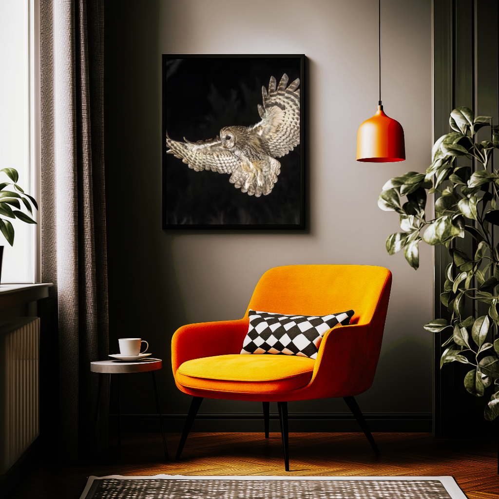 Tawny Owl Framed Wildlife Wall Art – 12x16 Nature Photography Print