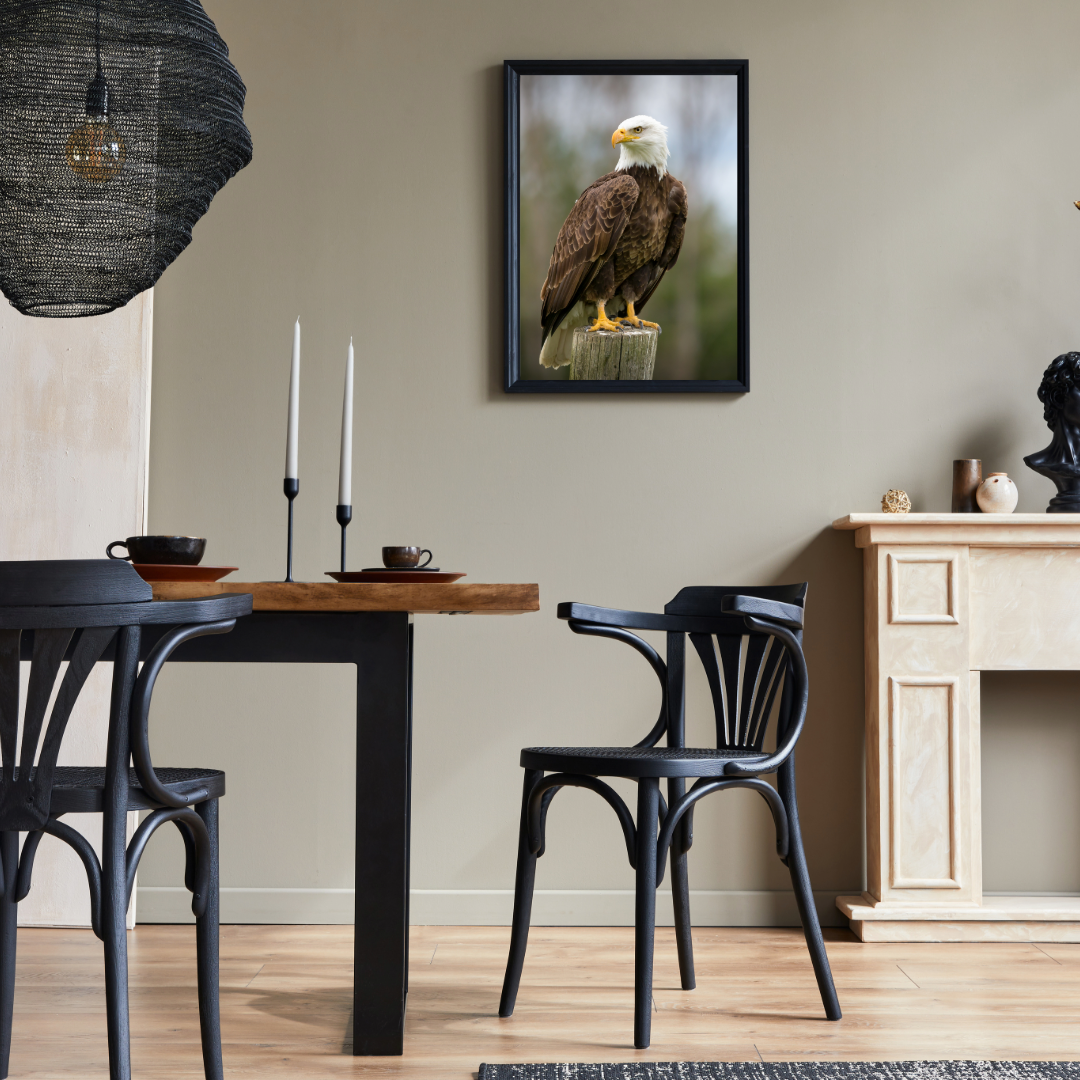Bald Eagle Framed Wall Art (12×16)