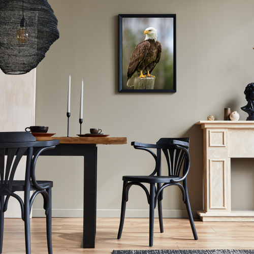 Bald Eagle Framed Wall Art (12×16)