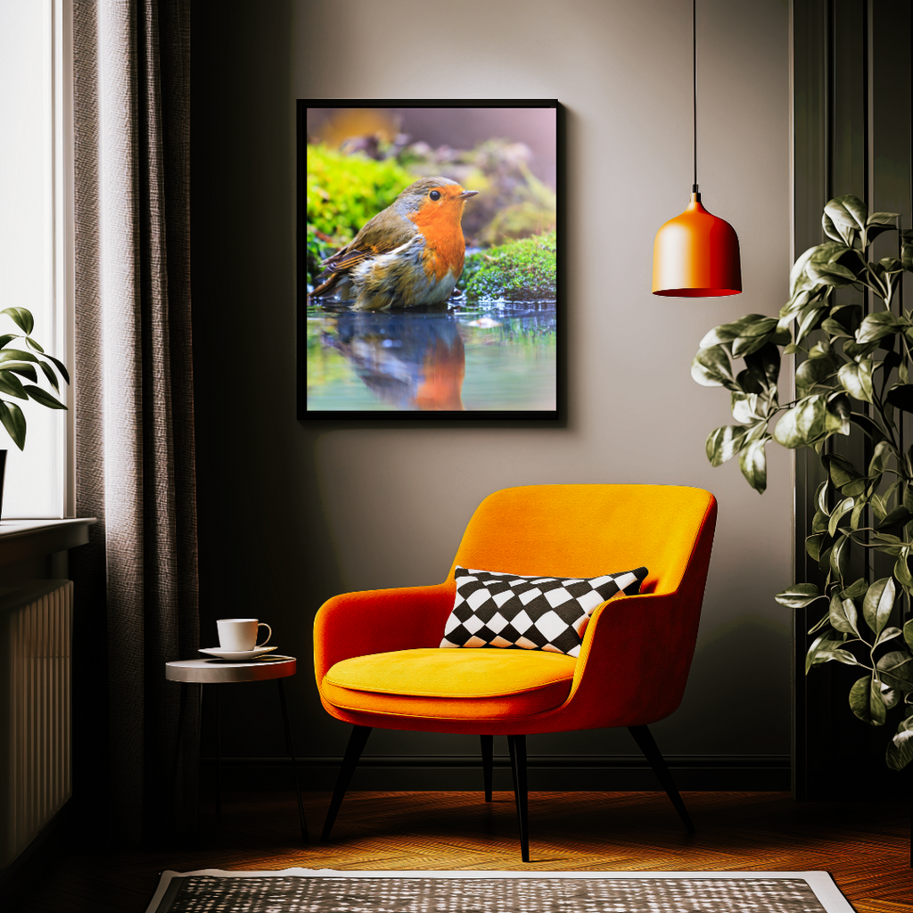 Robin Framed Wildlife Wall Art – 12x16 Nature Photography Print