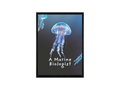 Marine Biologist Wall Art | Jellyfish Ocean Illustration | Scientific Inspired Matte Print 12x16