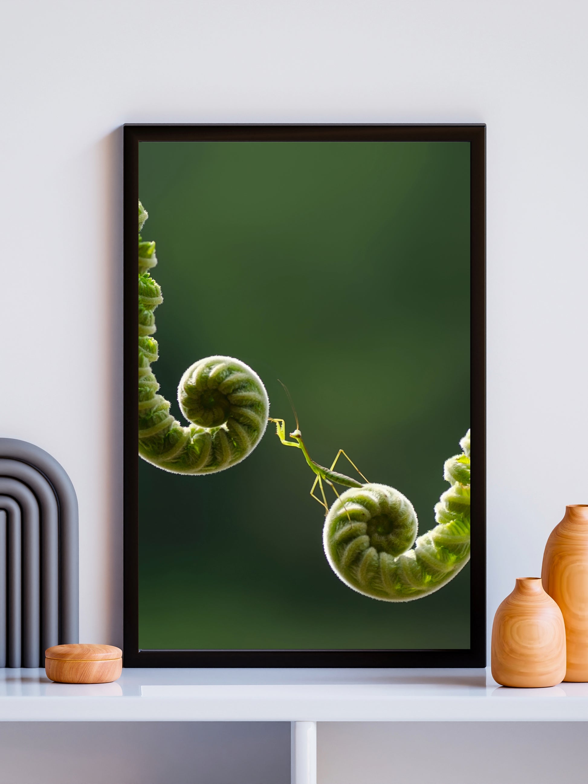 The Mantis Path Wall Art Frame 12x16